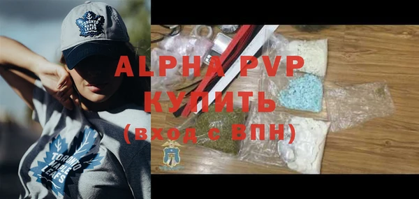 молекула духа Михайлов
