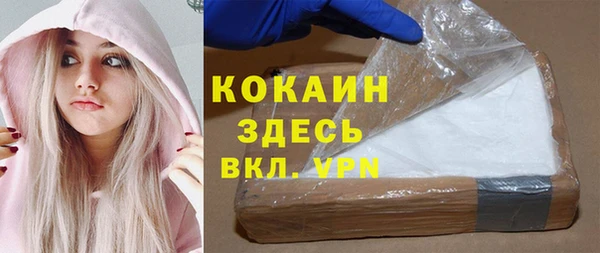 шишки Медногорск