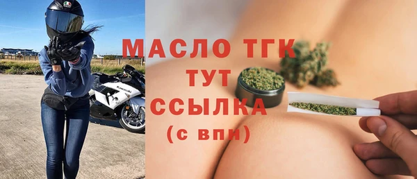 молекула духа Михайлов