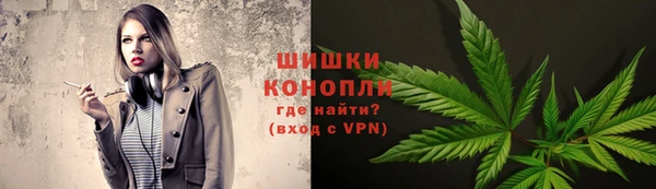 шишки Медногорск