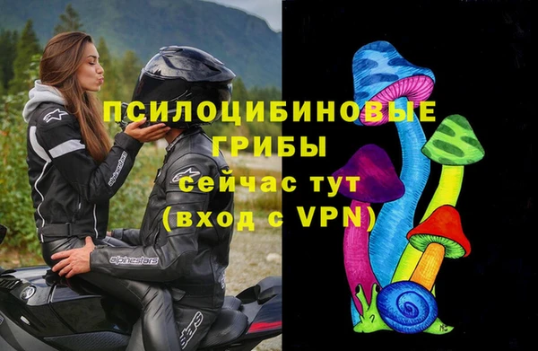 гидра Медвежьегорск