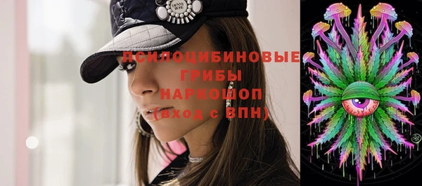 шишки Медногорск
