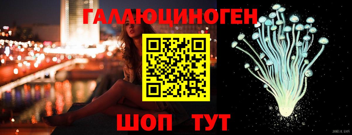 Калач-на-Дону  Псилоцибиновые грибы GOLDEN TEACHER  Вход с VPN 