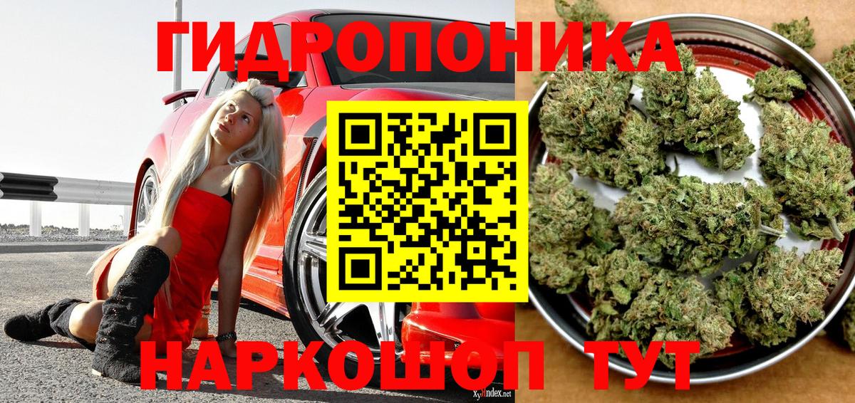 Каннабис марихуана Калач-на-Дону